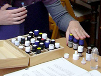 �A���}�u���̗l�q